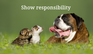 CSR communication